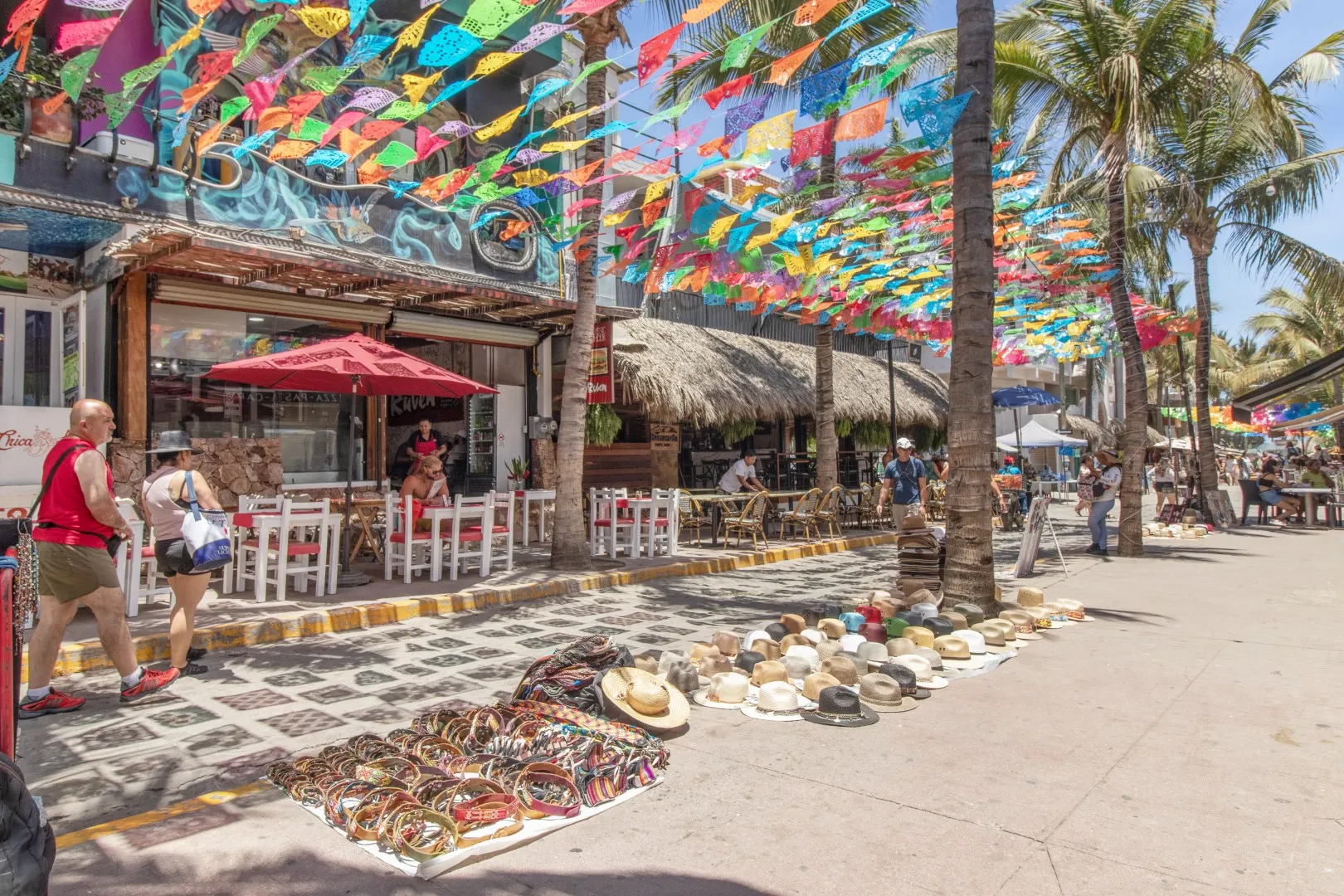 Steve Szabo Sayulita Realtor