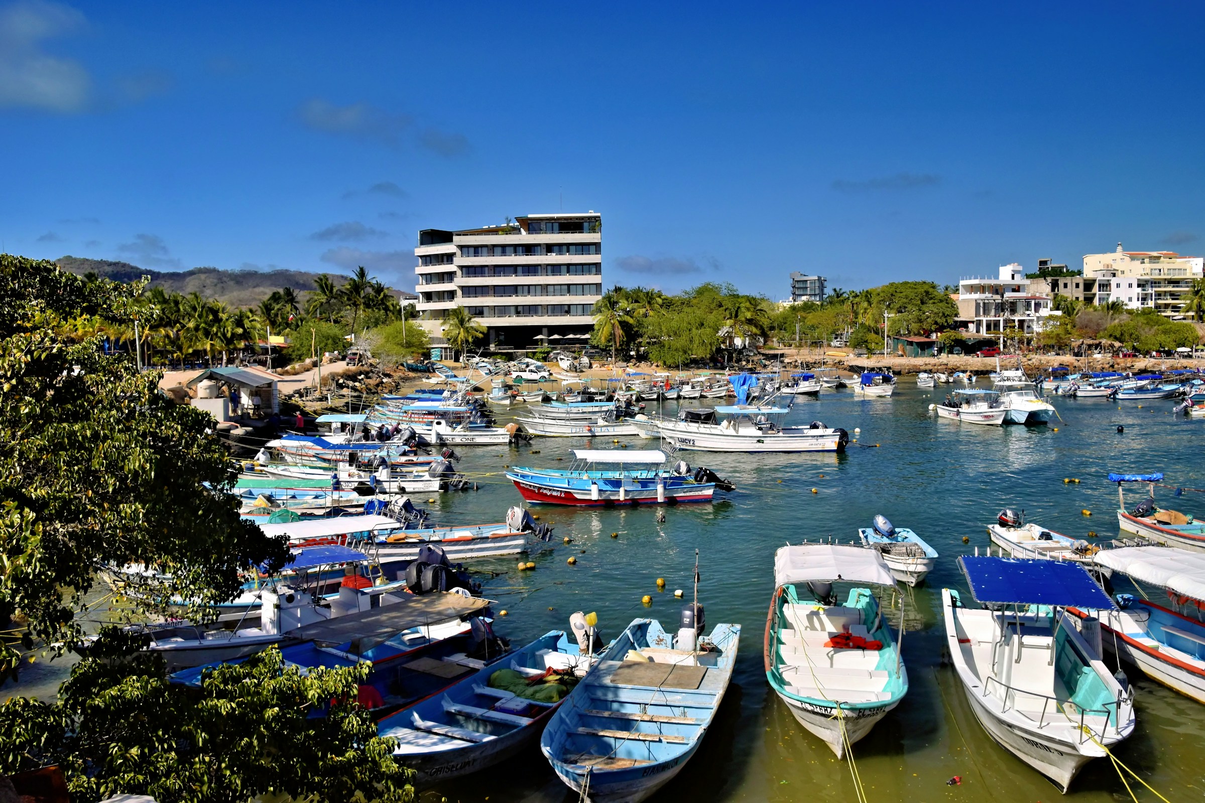 Punta de Mita Real Estate steve szabo (4)