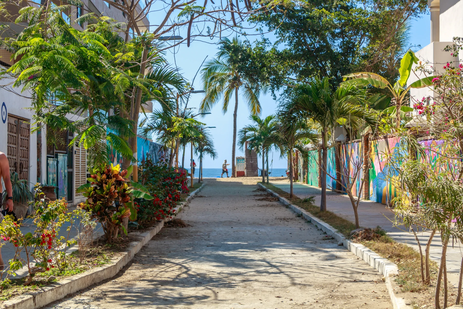 Real Estate san pancho mexico